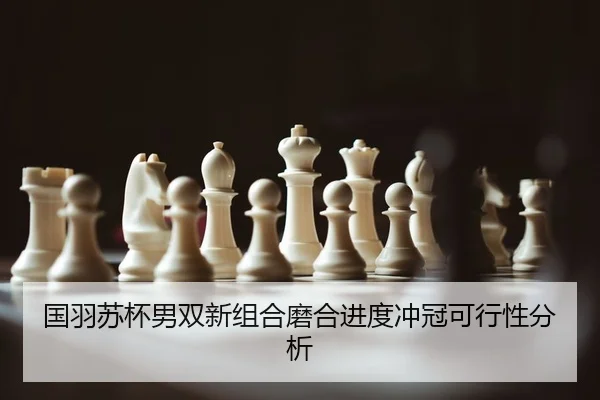 国羽苏杯男双新组合磨合进度冲冠可行性分析